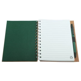 NOTES ENVIVO B6