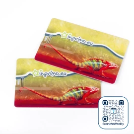 Pendrive Karta Kredytowa 32Gb